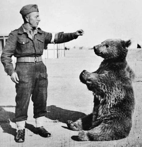 Wojtek bear WWII