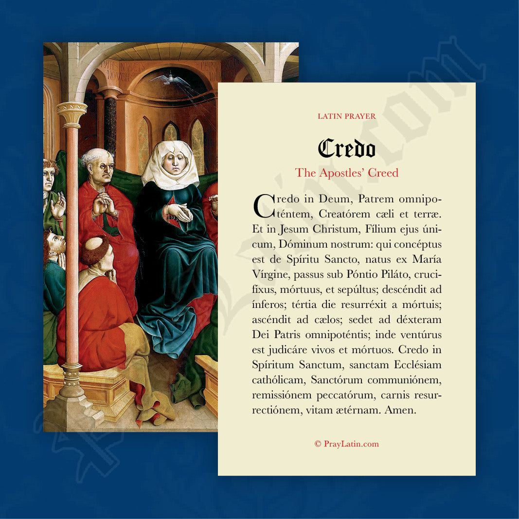 apostles-creed-latin-prayer-card-praylatin-llc