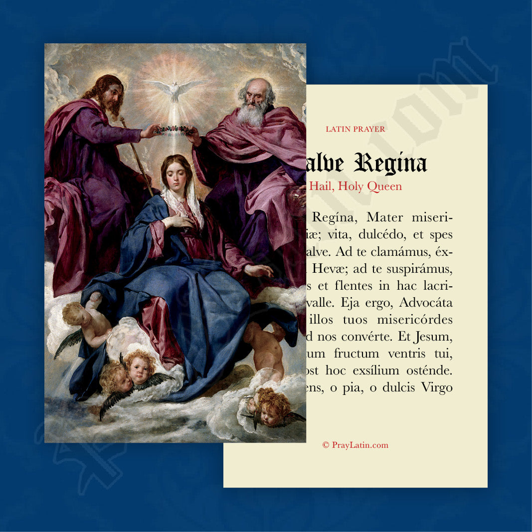 Salve Regina Latin Prayer Card LLC
