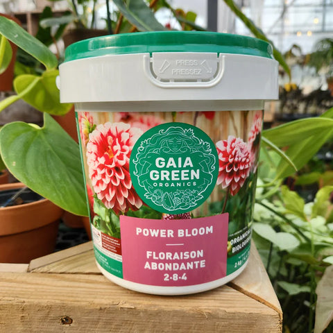 Engrais Gaïa pour floraison 2-8-4