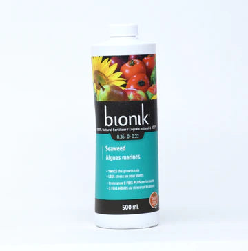 Algues marine bionik