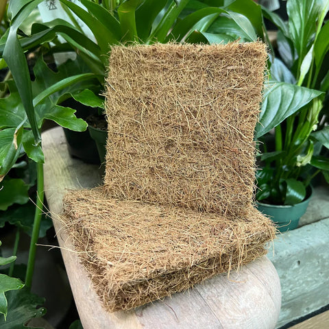 Tapis de germinations en fibre de coco