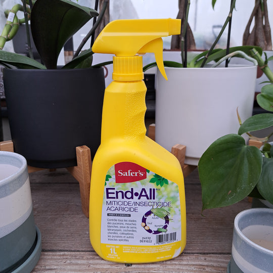 Safer'S Fongicide Defender de Safer's pour jardins - 1 L prêt-à-utiliser