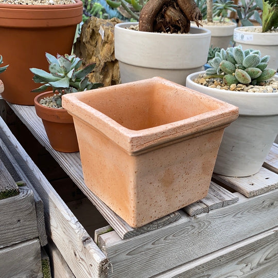 BRUNBÄR Plant pot with saucer, outdoor terracotta, 6 - IKEA