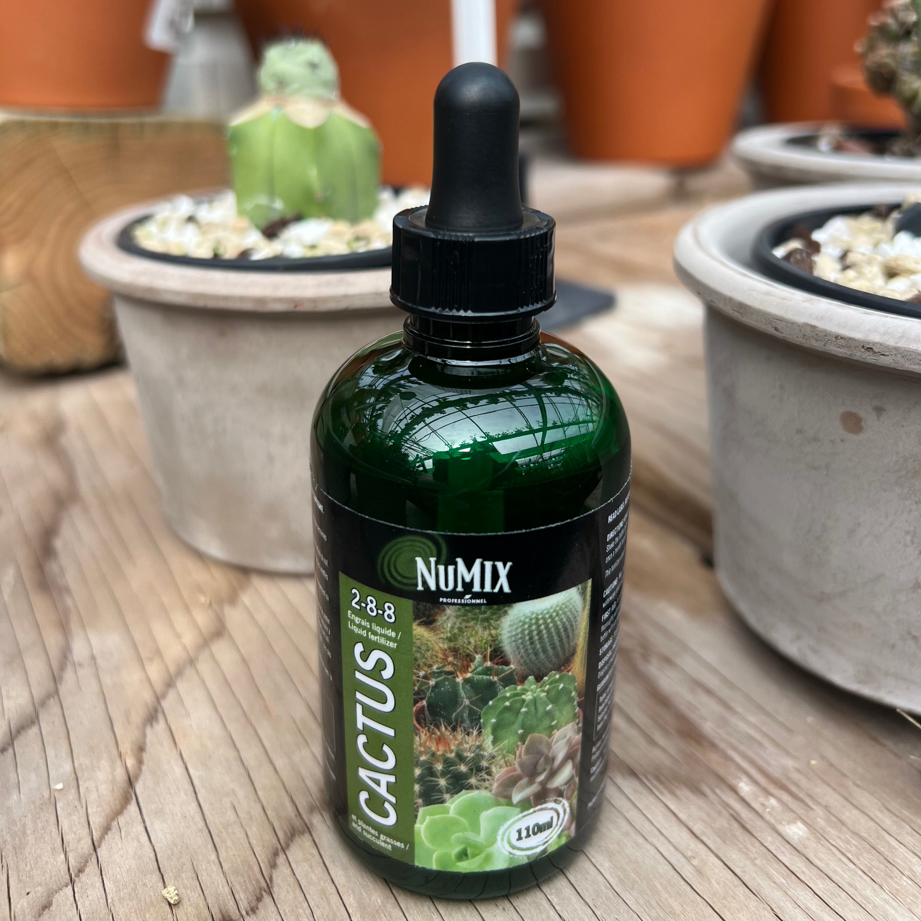 Engrais naturel pour arbres et arbustes – Serres Lavoie