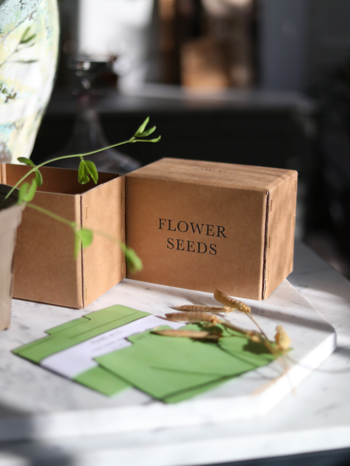 Flower seeds in a box