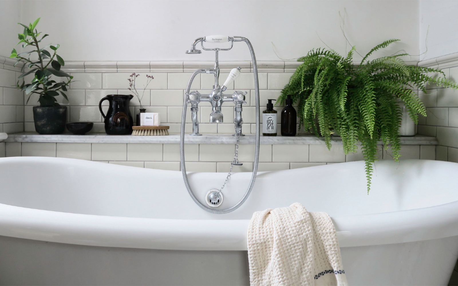 Plants and beauty products surrounding a bath