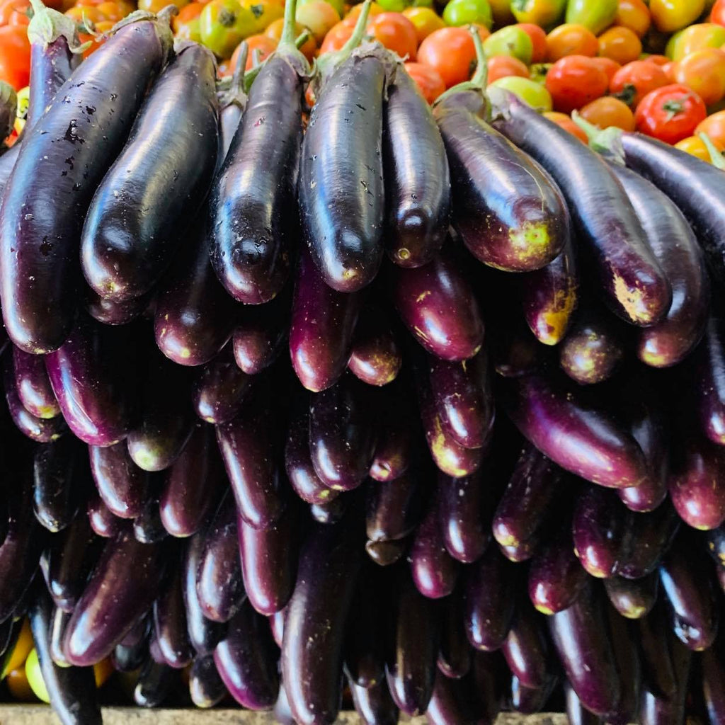 Eggplant (900g 1.1 Kilos) Online Palengke