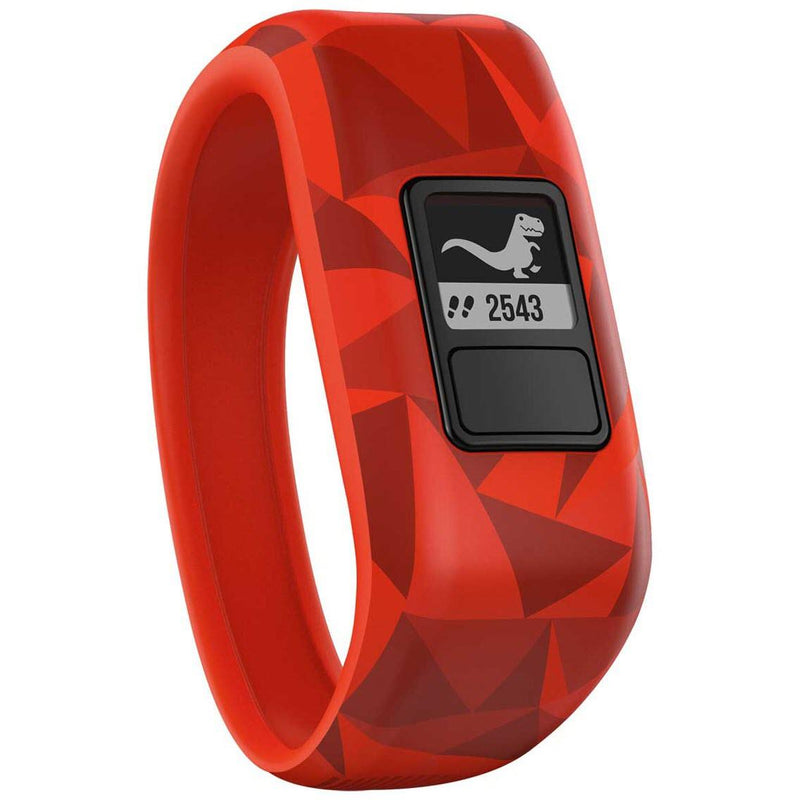 garmin and fitbit