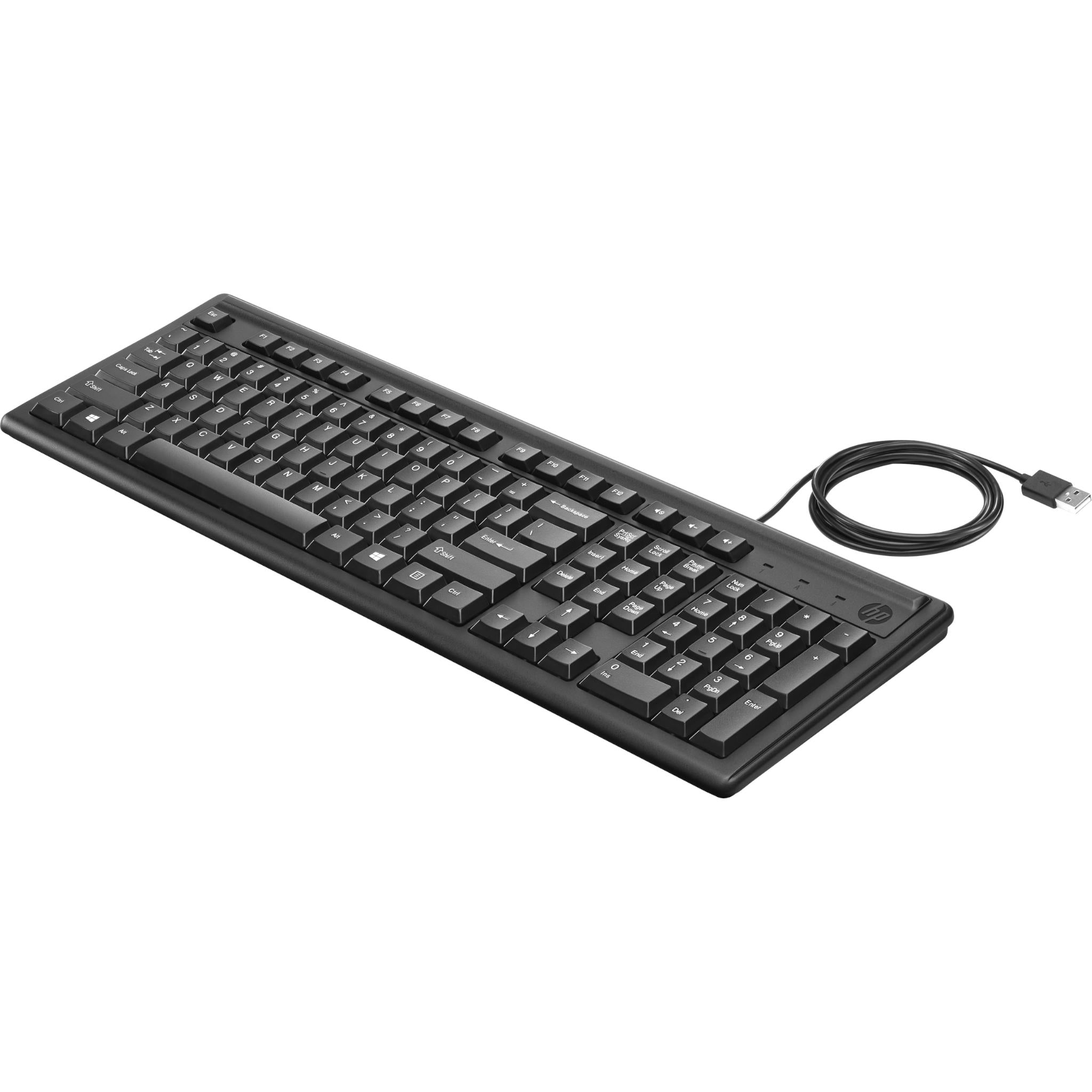 hp keyboard 100