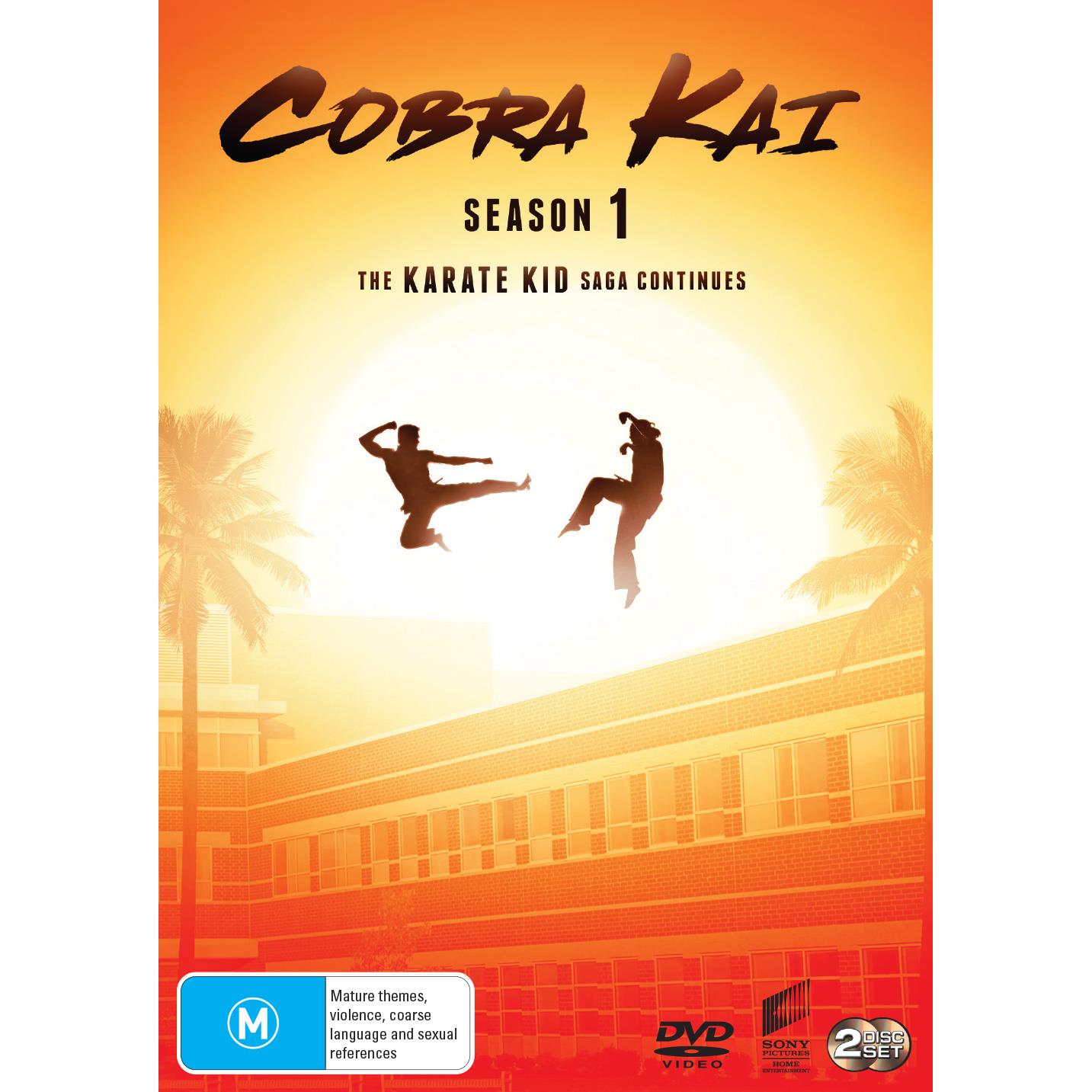 cobra kai - season 1