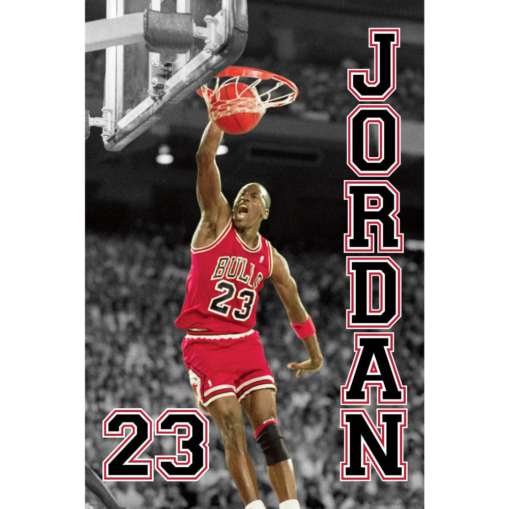 michael jordan poster