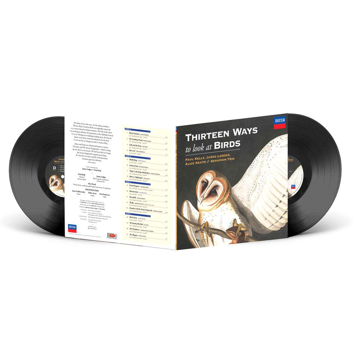 thirteen ways to look at birds (vinyl)