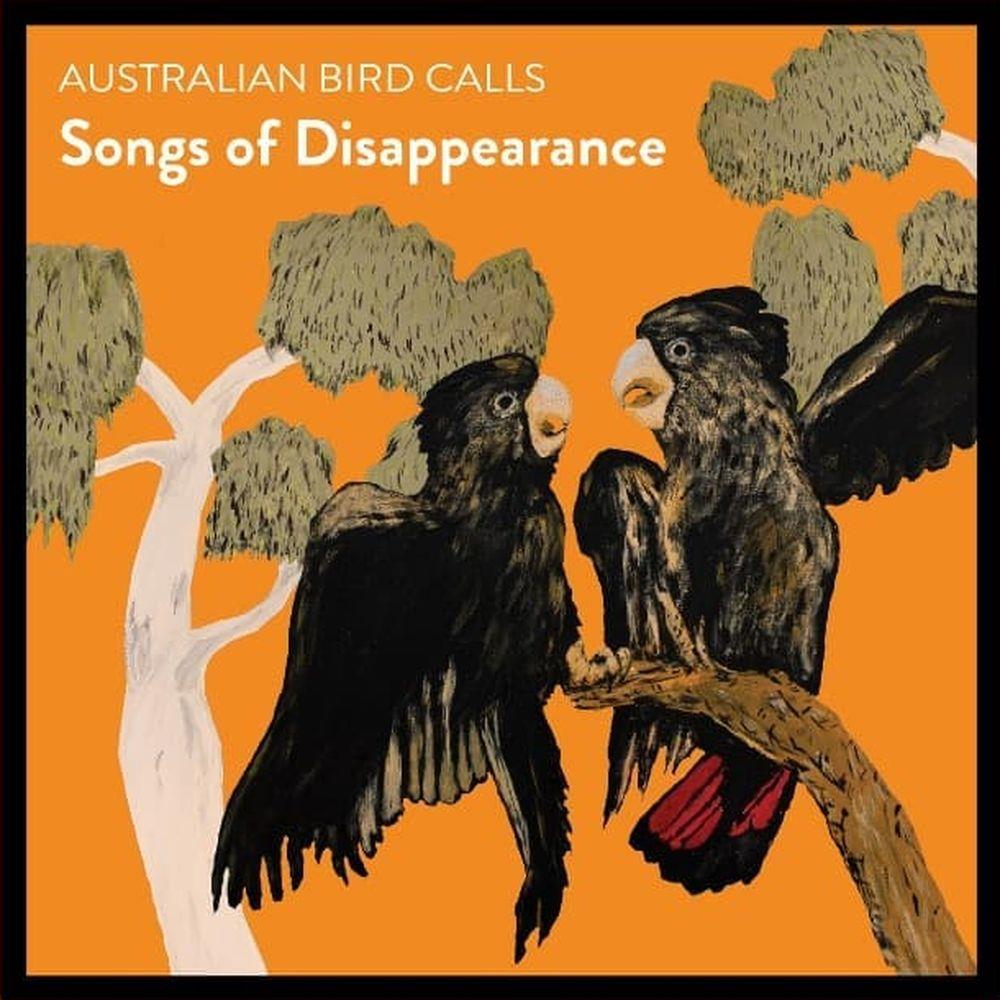 songs of disappearance: australian bird calls (endangered edition)