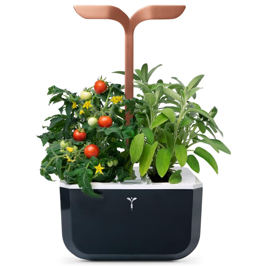 véritable® exky indoor garden smart (copper)