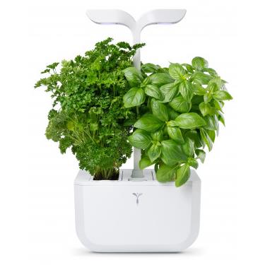 véritable® exky indoor garden (classic)