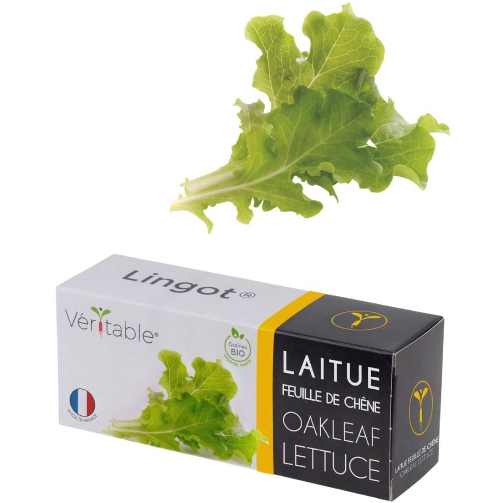 véritable® seed lingot® lettuce oakleaf