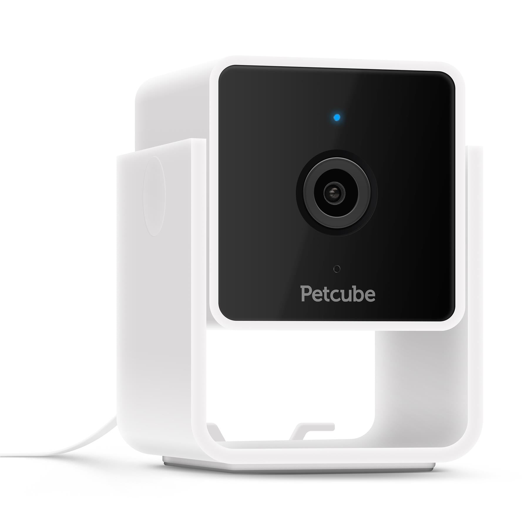 petcube pet camera (white)