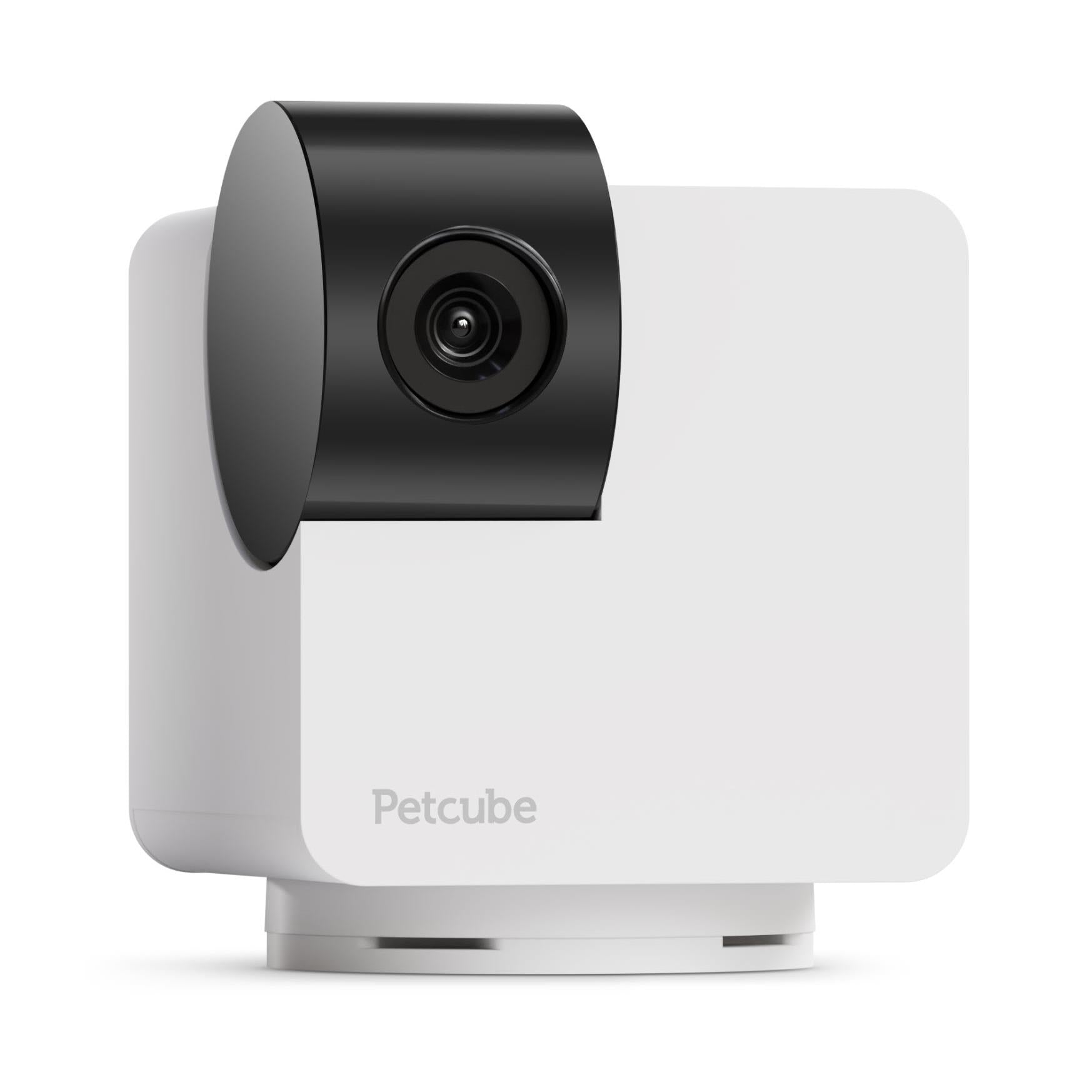 petcube cam 360