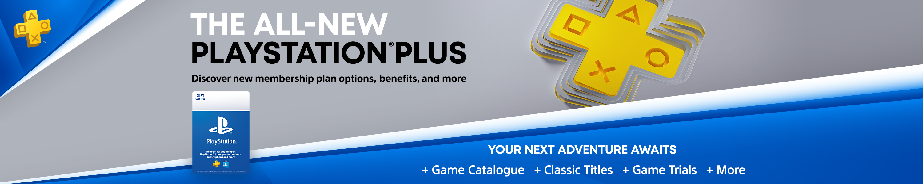 PlayStation Network Subscriptions in PlayStation Downloadable Games & Gift  Cards 