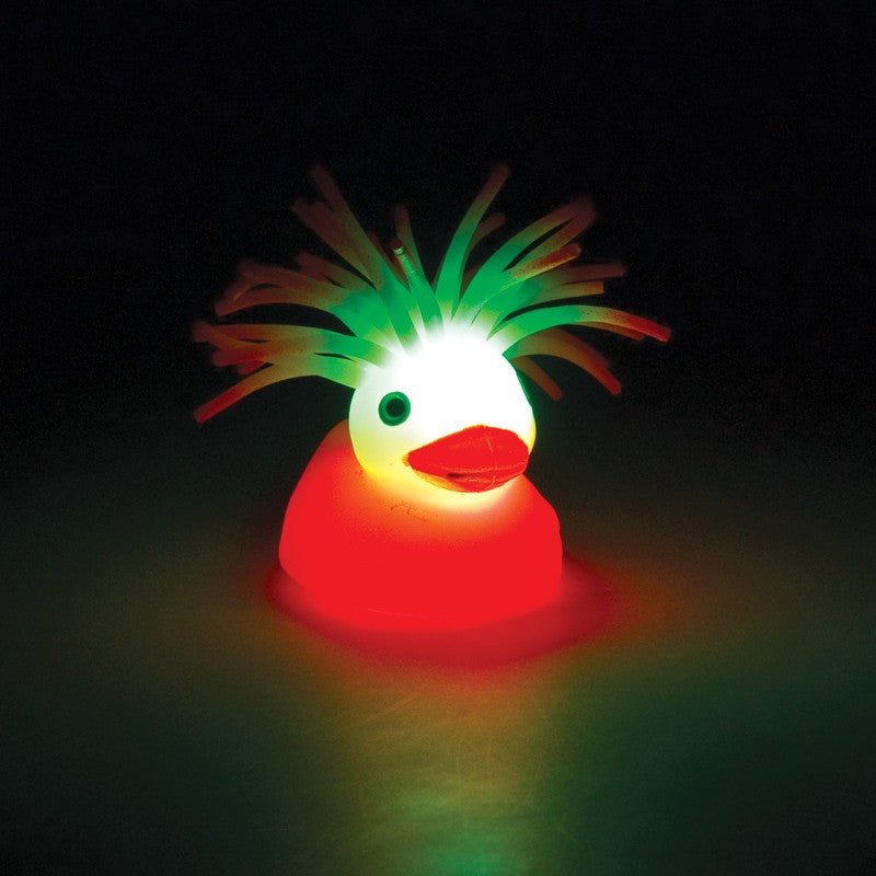 disco duck