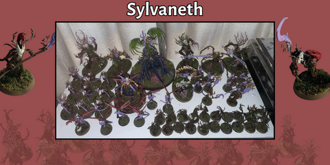 Stewart's Sylvaneth Army