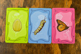 Mariposas - Waypoint Cards