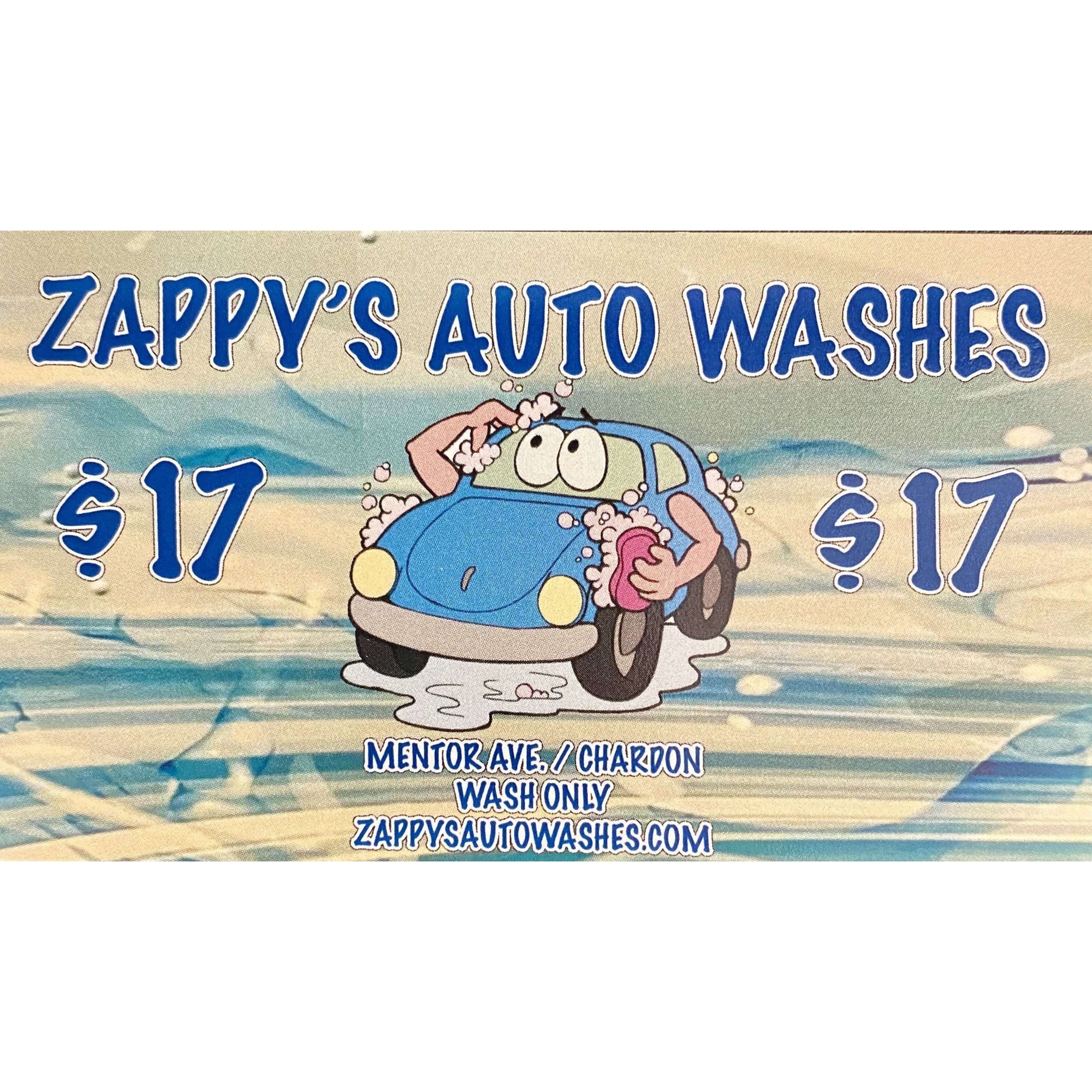 Insane Orange - Super Concentrated Foaming Car Wash Soap – Zappy's Auto  Washes