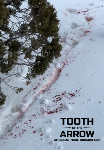 tooth of the arrow blood trail