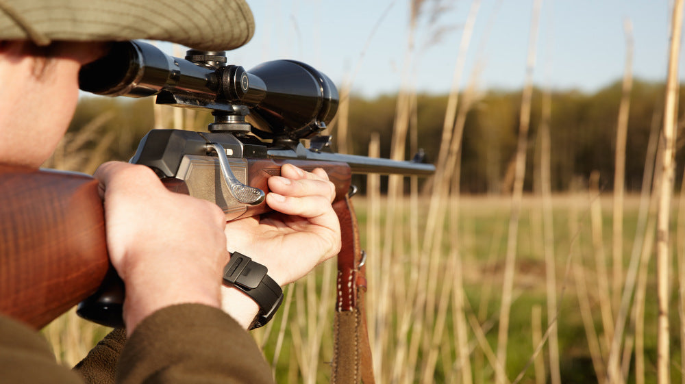 Pinty Scopes | Enhanced Shooting Comfort and Convenience