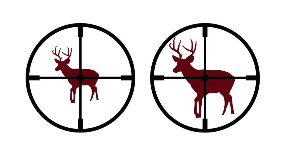 Second Focal Plane Scopes (SFP)