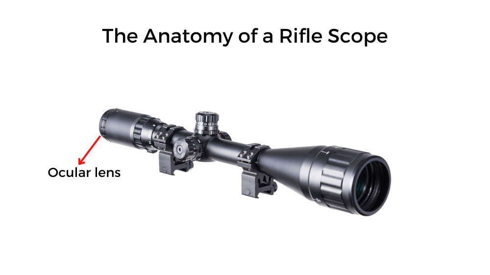 The Anatomy of a Rifle Scope - ocular lens