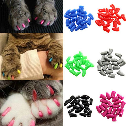 Bouchons d'ongles pour chat