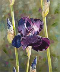 Oil painting of a purple iris