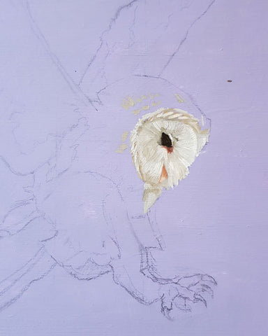Early stages of barn owl painting with purple background