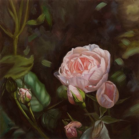 Oil painting of pink 'Heritage' rose