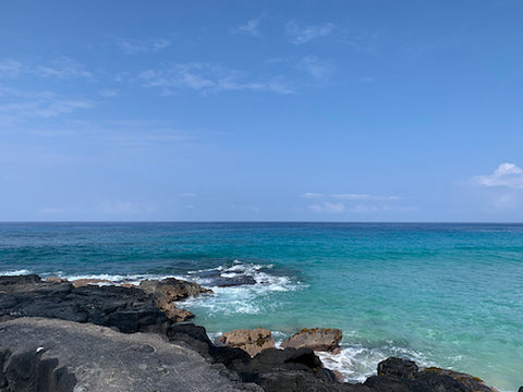 Kona coast photo by Karleen 