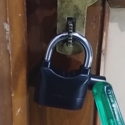 Alarm Anti-Theft Lock – GetTheGarlic