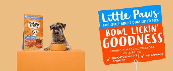 Barking Heads Little Paws Bowl Lickin Goodness Chicken Dry Dog Food