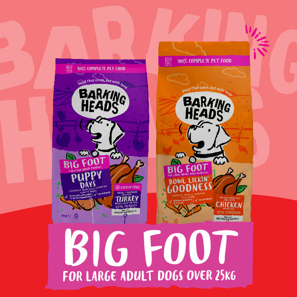 Barking Heads Big Foot