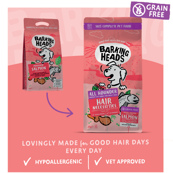 Barking Heads Hair Necessities