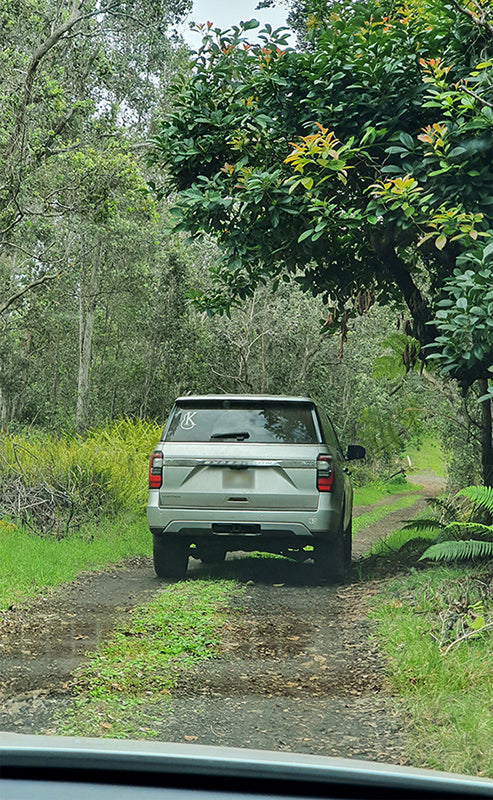 Ein silberner SUV fährt auf einem Waldweg 