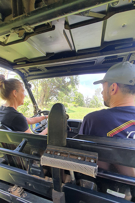 Jens und Kristen fahren im Buggy durch den Koa-Wald 