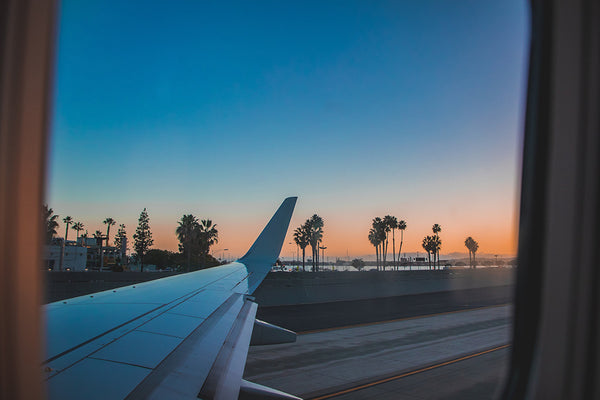 Sonnenuntergangsstimmung und Palmen gesehen aus einem Flugzeugfenster