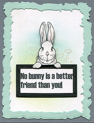 Better friend bunny