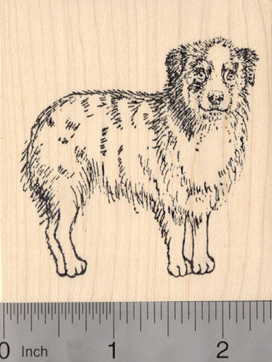 Australian Shepherd Rubber Stamp RubberHedgehog Rubber Stamps