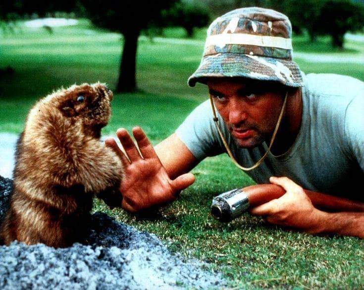 bill-murray-carl-spackler-talking-with-gopher-unsigned-8x10-photo-13864544862274_735x585.jpg