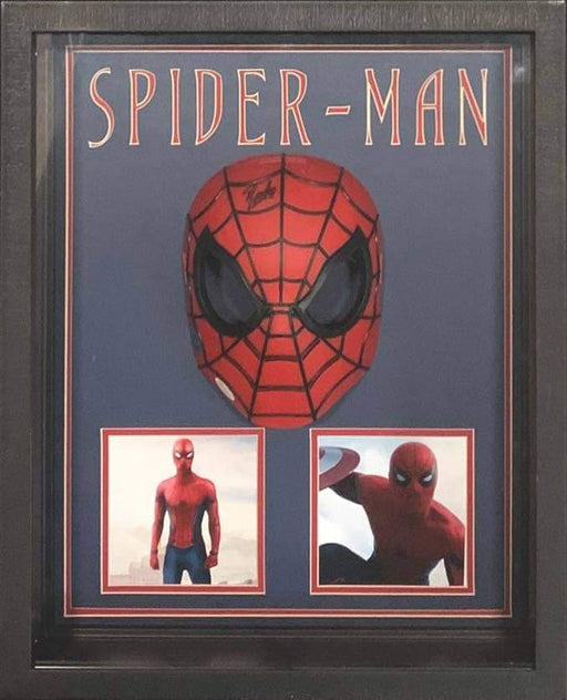 Maschera Spiderman con firma digitale di Stan Lee - CharityStars