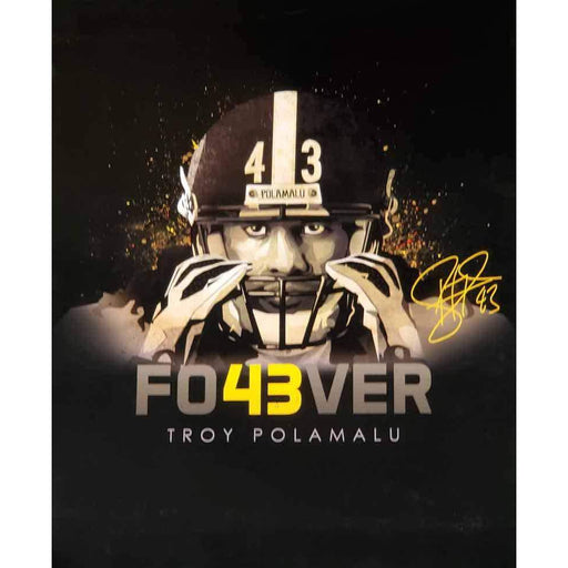 Troy Polamalu Pittsburgh Steelers Autographed 16 x 20 Pass Defense vs  Carolina Photograph