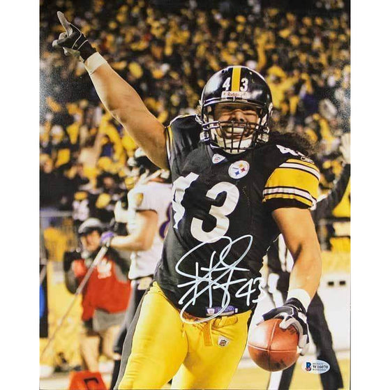 troy polamalu signed football